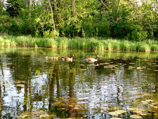 Nature Preserve «Maplewood Nature Center», reviews and photos, 2659 E 7th St, St Paul, MN 55119, USA