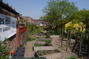 Grapes Hill Community Garden image