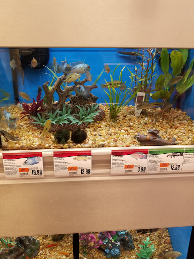 Pet Supply Store «Pet Supplies Plus», reviews and photos, 1530 S Washington St, Crawfordsville, IN 47933, USA