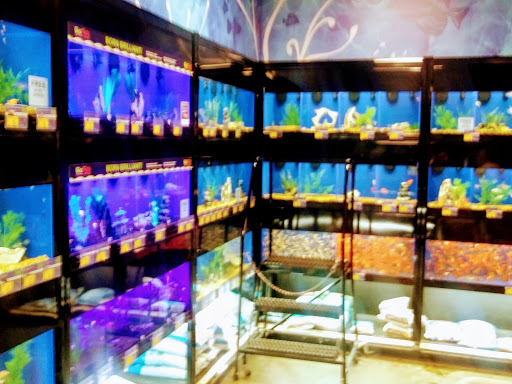 Pet Supply Store «PetSmart», reviews and photos, 7765 Airport Blvd #901, Mobile, AL 36608, USA