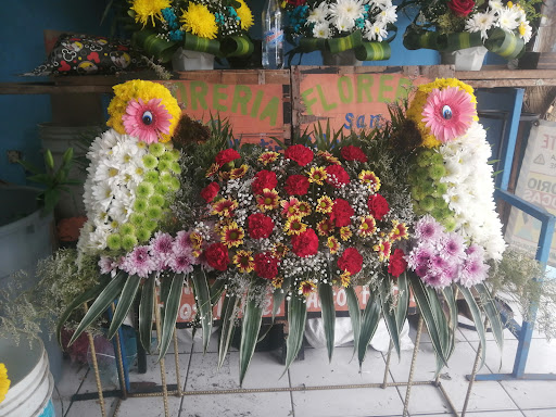 Floreria San Sebastian Martir florería en  en la zona Amalia Solorzano