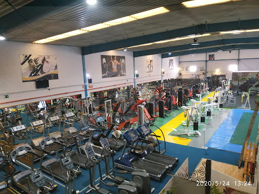 Gimnasio Ferrón - Complejo Deportivo en La Carolina, Jaén