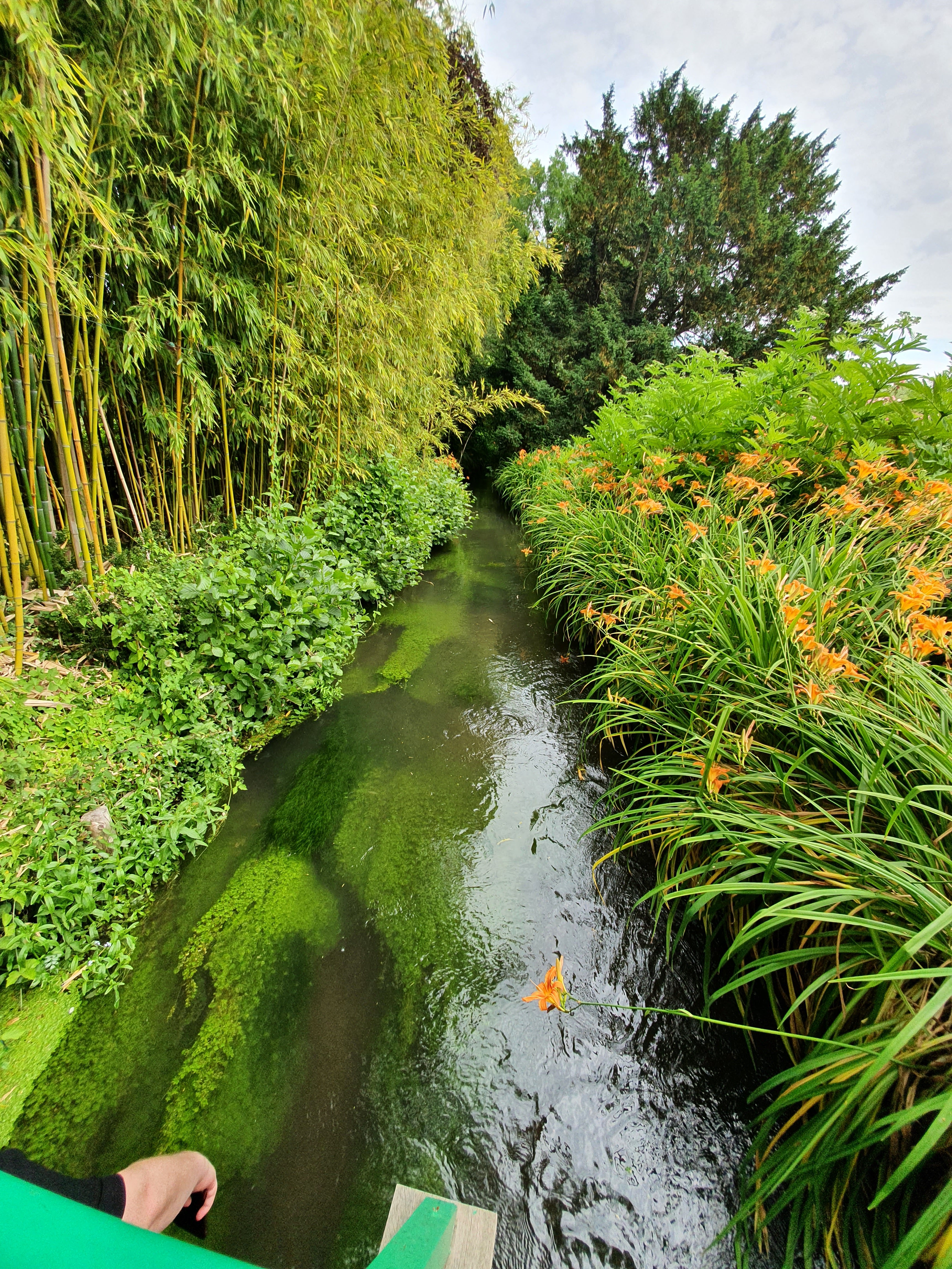 Photo n° 3 de l'avis de Nadia.o fait le 20/06/2023 à 07:55