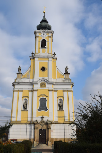 Tolnai Nagyboldogasszony-templom