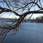 Photo n°1 de l'avis de Luca.i fait le 28/11/2017 à 09:04 sur le  Ellera Hostaria à Pusiano