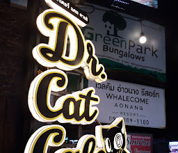Dr. Cat Cafe photo