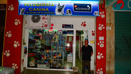 Peluquería canina Totana - Servicios para mascota en Valencia
