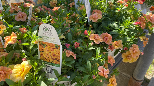 Plant Nursery «Goldner Walsh Garden and Home», reviews and photos, 559 Orchard Lake Rd, Pontiac, MI 48341, USA