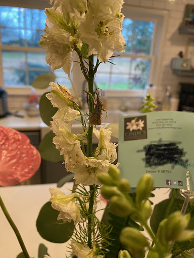 Florist «Cindys Flower Shop», reviews and photos, 1138 Cherry Rd, Rock Hill, SC 29732, USA