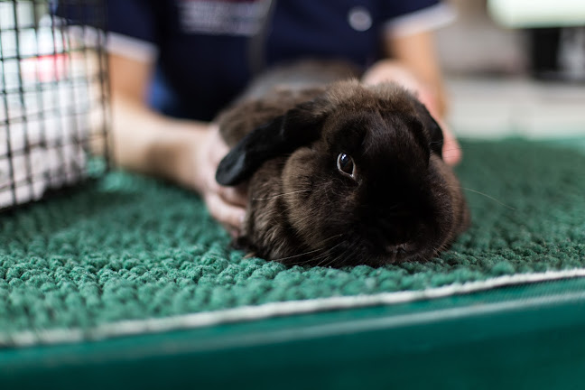 Rhyd Broughton Veterinary Group Open Times