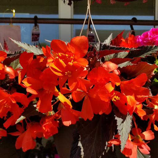 Supermarket «Super Stop & Shop», reviews and photos, 8101 Jericho Turnpike #0511, Woodbury, NY 11797, USA