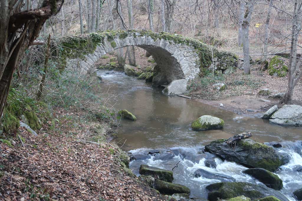 Photo n° 2 de l'avis de Dominique.a fait le 16/02/2022 à 11:09