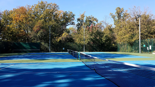 Pickleball court Arlington