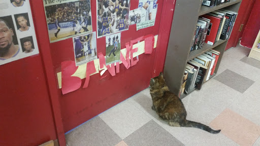 Book Store «Pegasus Books Downtown», reviews and photos, 2349 Shattuck Ave, Berkeley, CA 94704, USA