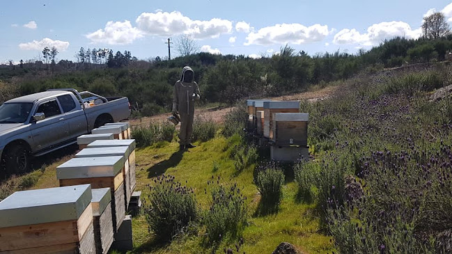 Avaliações doAlto do Castelo - Produtos Apícolas em Vila Real - Loja de produtos naturais