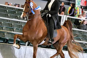 Keith Equestrian Center image