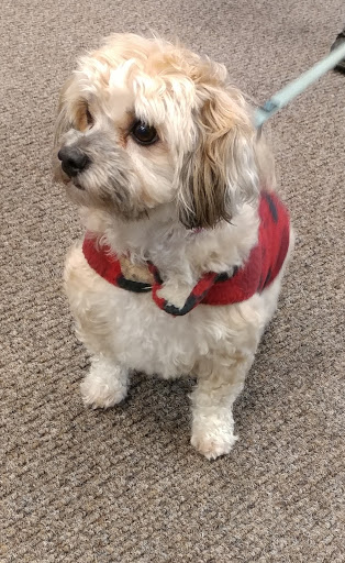 Cell Phone Store «Verizon», reviews and photos, 1255 N 205th St #101, Shoreline, WA 98133, USA