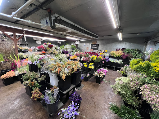 Florist «Austin Flower Co», reviews and photos, 1612 W 35th St, Austin, TX 78703, USA