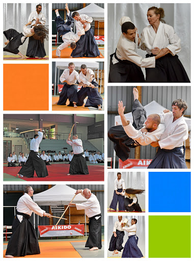 Aikido Canada - Ecole Internationale School Downtown Montreal