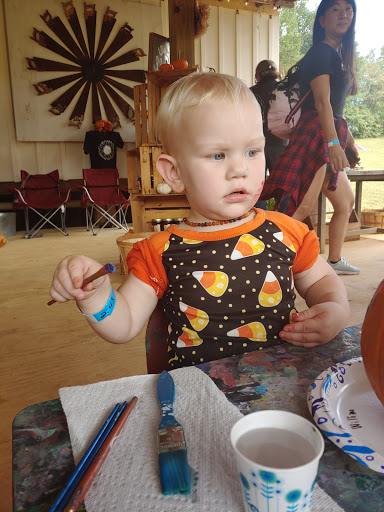 Tourist Attraction «Still Family Farm, LLC», reviews and photos, 5630 Macland Rd, Powder Springs, GA 30127, USA