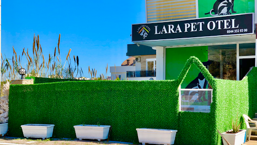 Lara Pet Otel | Antalya