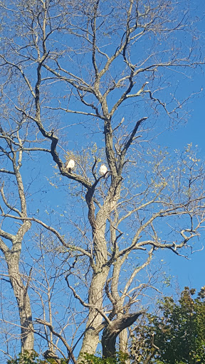 Golf Course «Shark River Golf Course», reviews and photos, 320 Old Corlies Ave, Neptune City, NJ 07753, USA