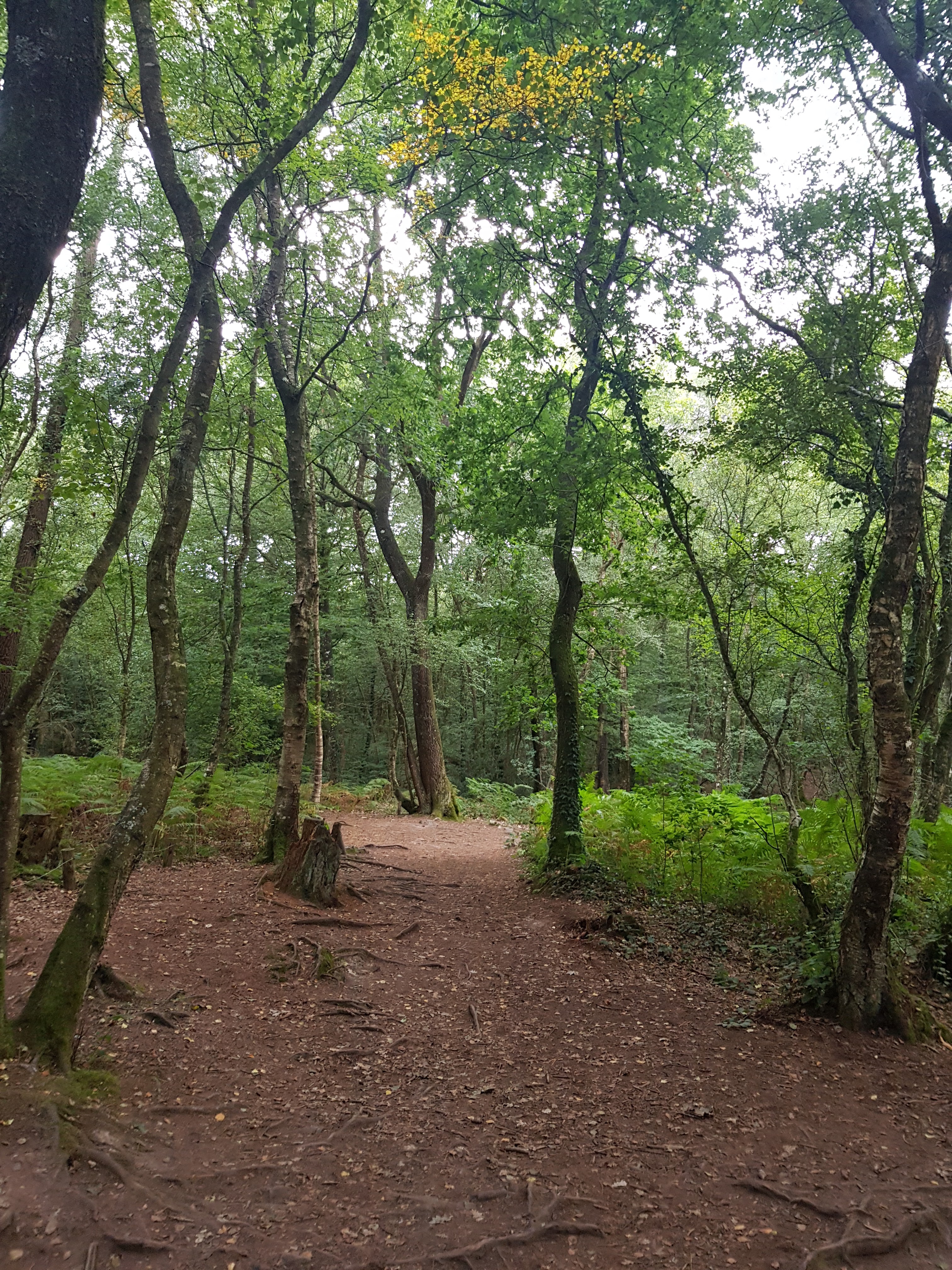 Photo n° 6 de l'avis de Linda. fait le 30/08/2019 à 15:12