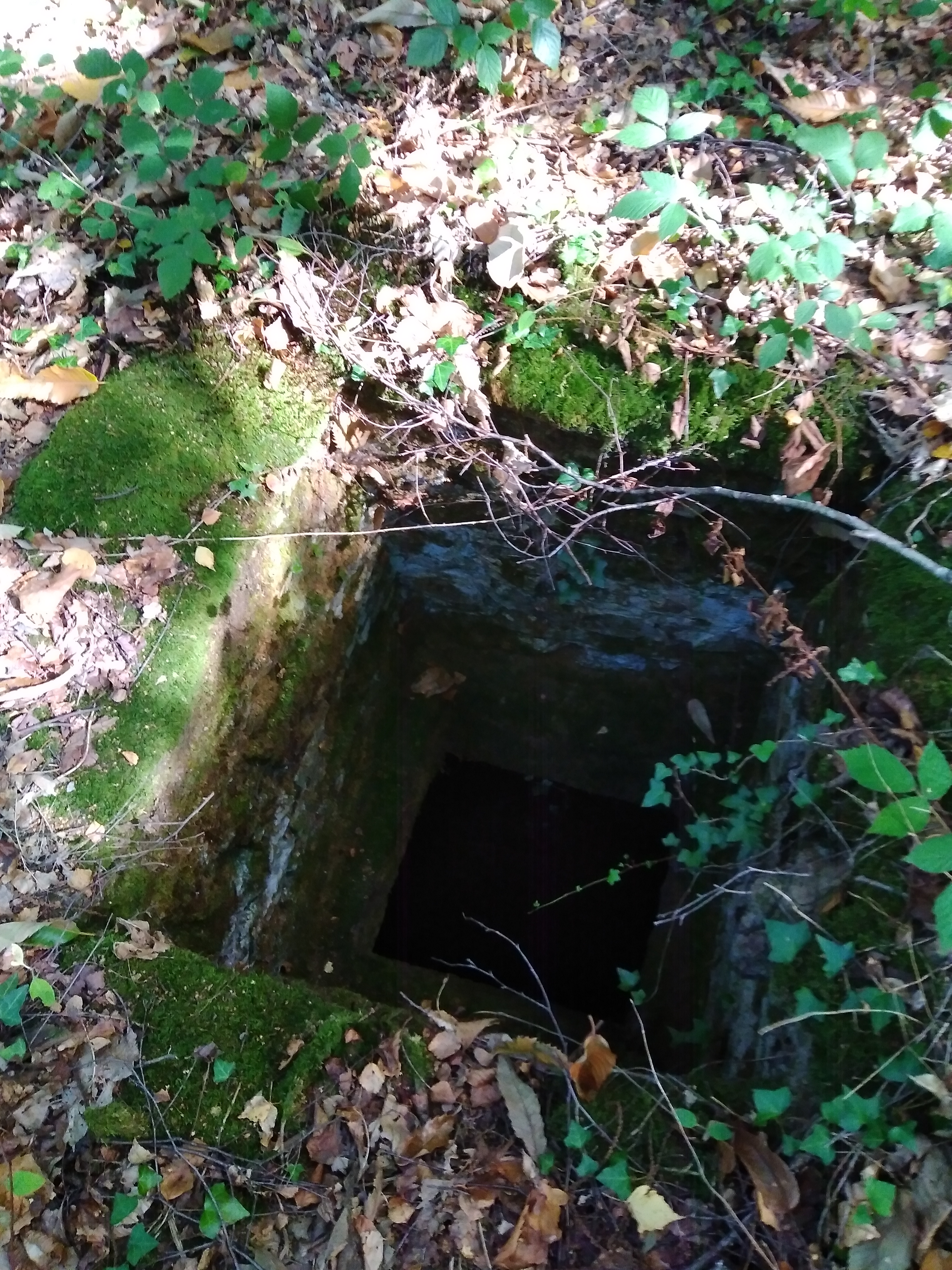 Photo n° 35 de l'avis de Sandy.i fait le 02/10/2022 à 17:34