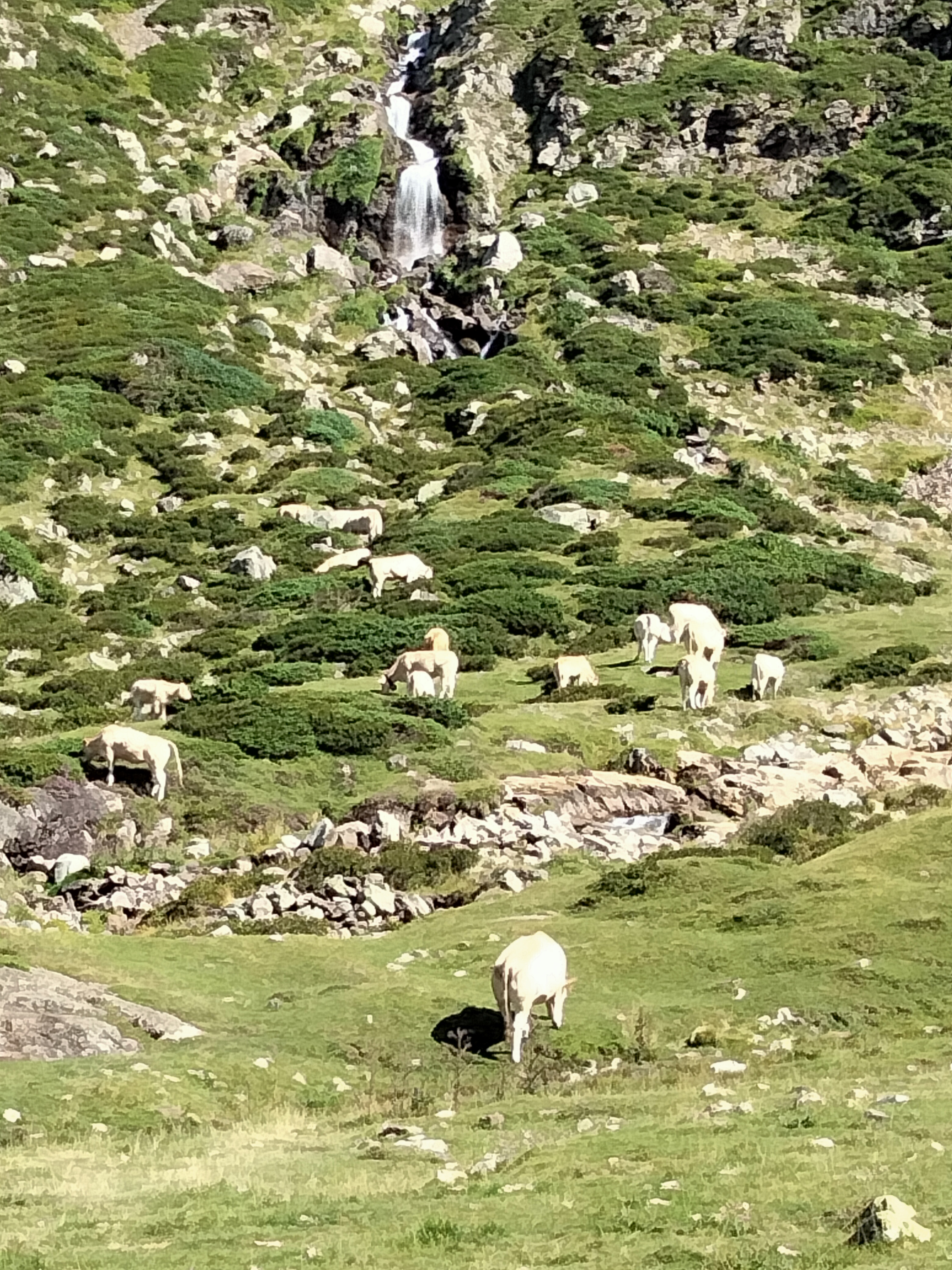 Photo n° 6 de l'avis de Didier.g fait le 29/08/2021 à 18:28