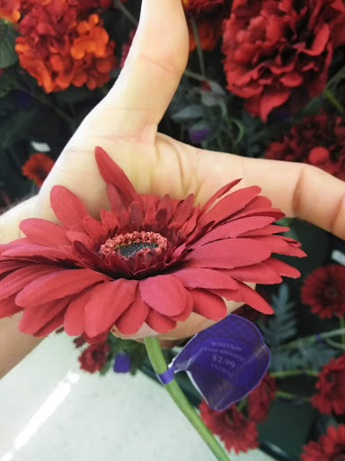 Craft Store «Hobby Lobby», reviews and photos, 2400 E Semoran Blvd, Apopka, FL 32703, USA