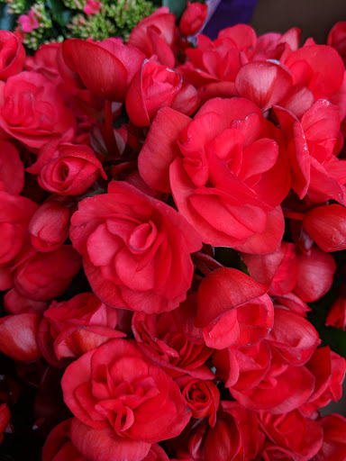 Supermarket «Jons Marketplace», reviews and photos, 600 E Colorado St, Glendale, CA 91205, USA