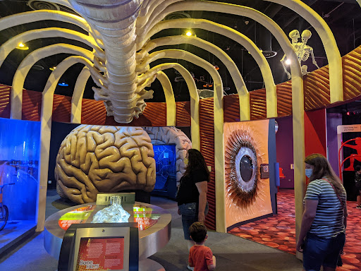 Museum «The Health Museum», reviews and photos, 1515 Hermann Dr, Houston, TX 77004, USA