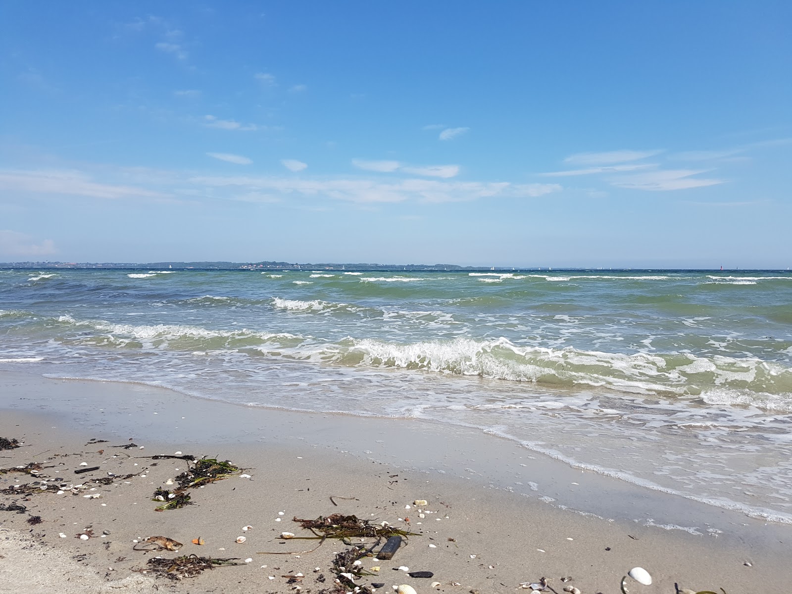 Foto von Holnis strand mit sehr sauber Sauberkeitsgrad