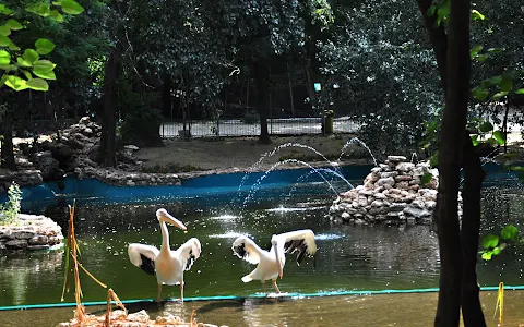 Varna Zoo image