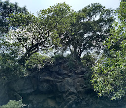 La Ruta en el Arco De Piedra photo