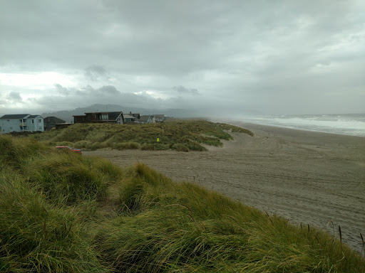 Horse Boarding Stable «Green Acres Beach & Trail Rides», reviews and photos, 5985 Pacific Ave, Cloverdale, OR 97112, USA