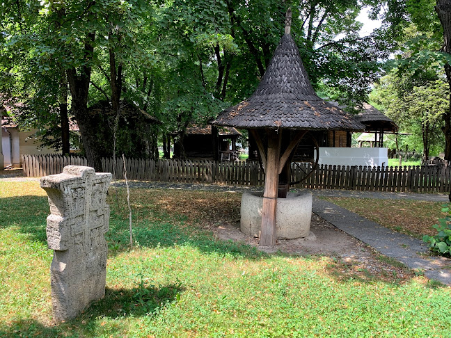 muzeul-satului.ro