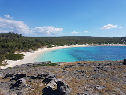 Beach angongo的照片 带有宽敞的海岸线