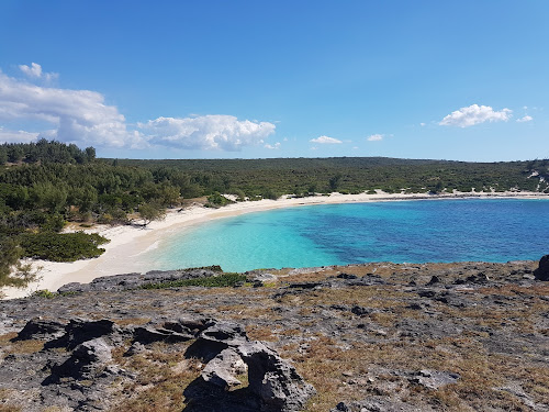 Beach angongo photo #2
