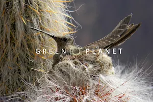 Green Planet Etno Eco Travel SRL image