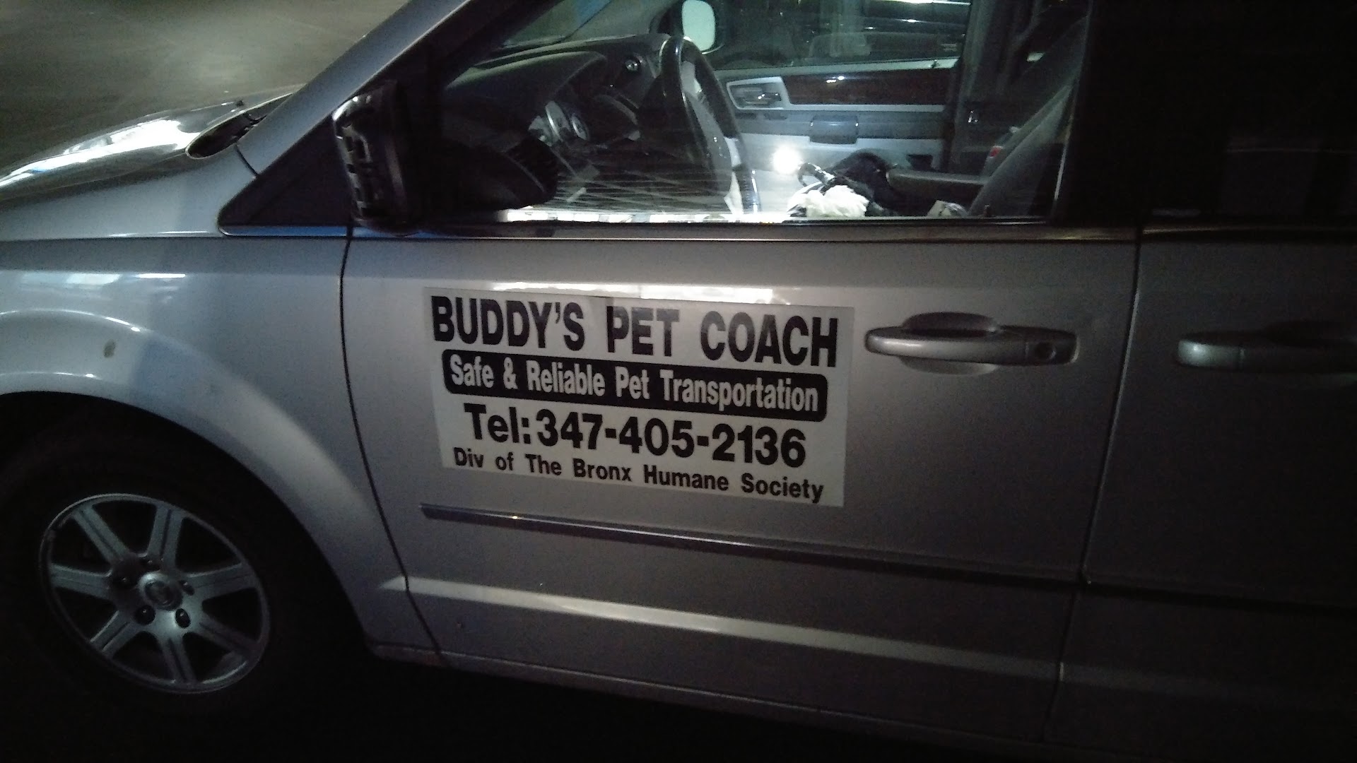 Buddy's Pet coach
