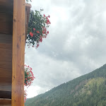 Photo n°8 de l'avis de alessia.a fait le 03/08/2023 à 15:12 sur le  Hotel Domina Home Parco dello Stelvio à Cogolo