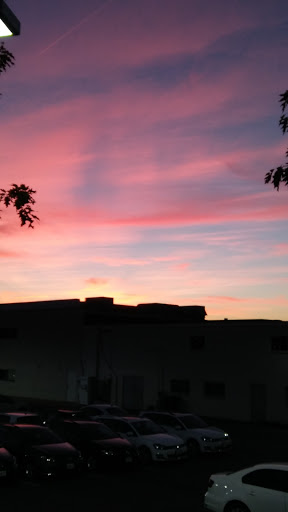 Supermarket «Big Y», reviews and photos, 275 New Britain Ave, Plainville, CT 06062, USA