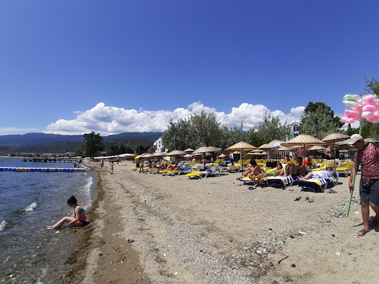 Palmera beach