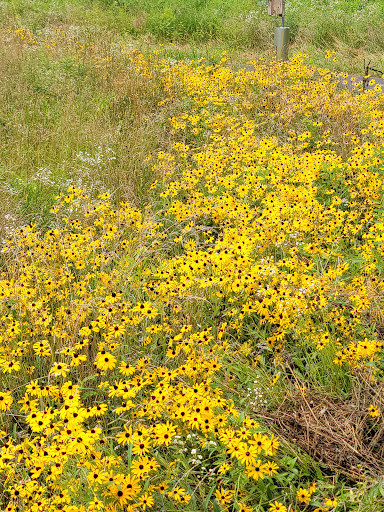 Nature Preserve «White Clay Creek Preserve», reviews and photos, 404 Sharpless Rd, Landenberg, PA 19350, USA