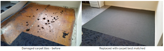 Comments and reviews of Carpet Recovery