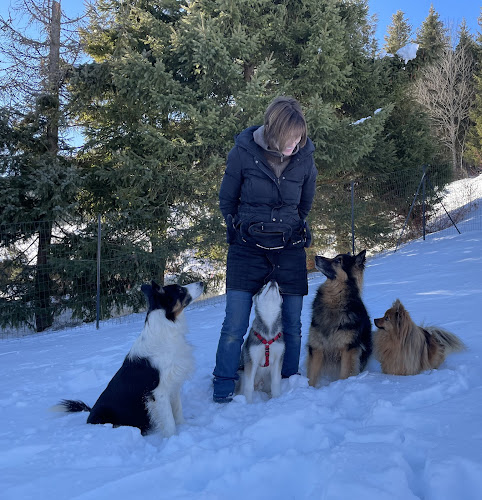 Rezensionen über Cours d'éducation canine in Lausanne - Hundeschule