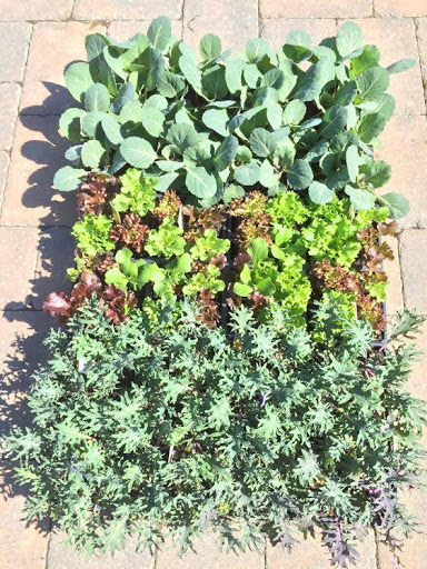 Garden Center «Animals and Gardens Unlimited», reviews and photos, 14 Jacobstown Rd, New Egypt, NJ 08533, USA