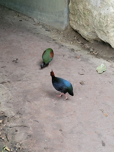 Zoo «Sedgwick County Zoo», reviews and photos, 5555 Zoo Boulevard, Wichita, KS 67212, USA