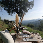 Photo n°3 de l'avis de Angela. fait le 16/08/2020 à 19:53 sur le  Forestarìa Azienda Agricola - Farm & B&B à Valgiano